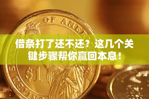 武汉借条打了还不还？这几个关键步骤帮你赢回本息！