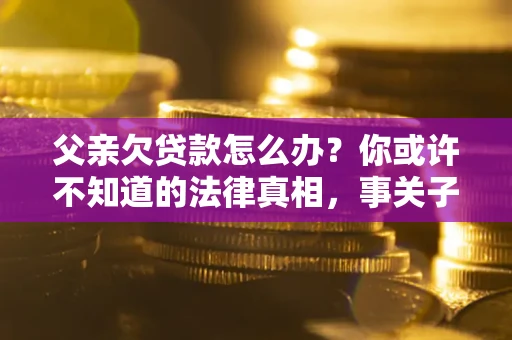 武汉父亲欠贷款怎么办？你或许不知道的法律真相，事关子女未来