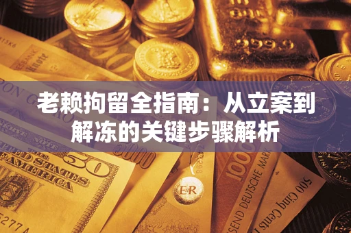 武汉老赖拘留全指南：从立案到解冻的关键步骤解析