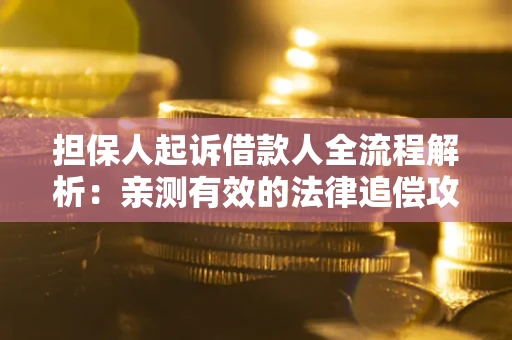 武汉担保人起诉借款人全流程解析：亲测有效的法律追偿攻略