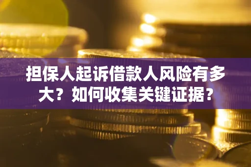 武汉担保人起诉借款人风险有多大？如何收集关键证据？