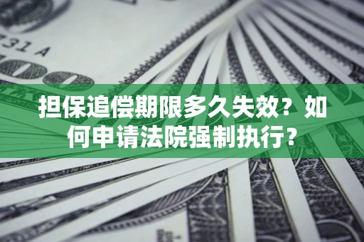 武汉担保追偿期限多久失效？如何申请法院强制执行？