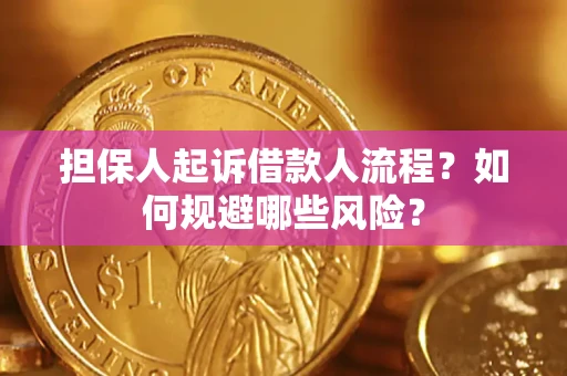 武汉担保人起诉借款人流程？如何规避哪些风险？