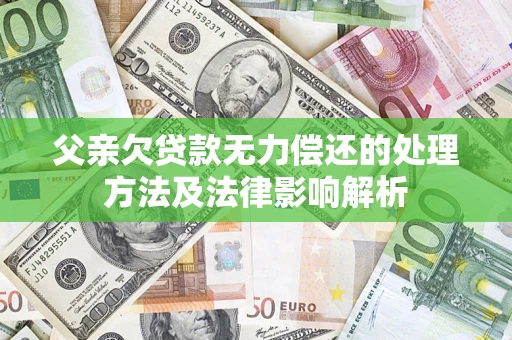 武汉父亲欠贷款无力偿还的处理方法及法律影响解析